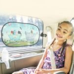 Window Shade - Tales In The Forest - Image 5